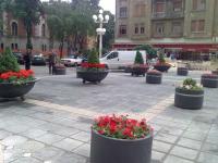 Imagine atasata: Image1153.jpg